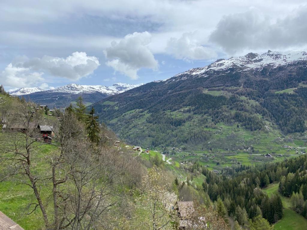 Residence Platane B Grimentz Exterior photo
